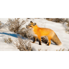 Red Fox in Snowy Nature Pencil Pen Holder