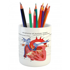 Human Body Organ Pencil Pen Holder