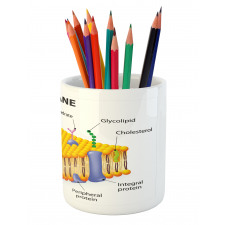 Membrane Cell Types Pencil Pen Holder