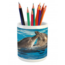 Aqua Show Photography Pencil Pen Holder