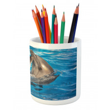 Aqua Show Photography Pencil Pen Holder