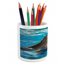 Aqua Show Photography Pencil Pen Holder