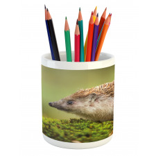 Eastern Europe Scene Pencil Pen Holder