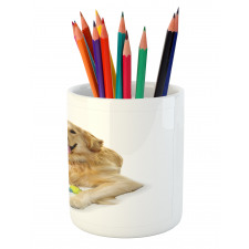 Pet Dog Toy Pencil Pen Holder