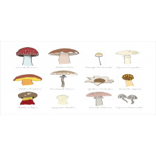 Blusher Boletus Sketch Pencil Pen Holder