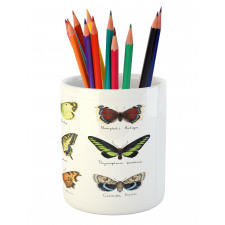 Spring Bugs Pattern Pencil Pen Holder