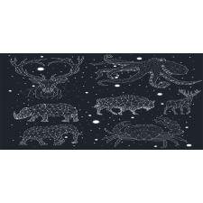 Constellation Signs Pencil Pen Holder