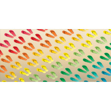 Graded Rainbow Color Pencil Pen Holder