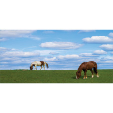 Horses Grazing Meadow Pencil Pen Holder