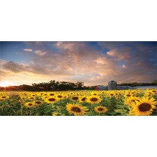 Sunflower Field Sky Pencil Pen Holder