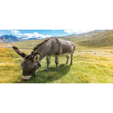 Donkey Eating Grass Mountain Pencil Pen Holder