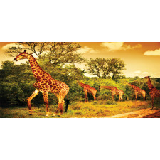 Safari Animals Pencil Pen Holder