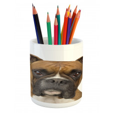 Purebred Dog Front View Pencil Pen Holder