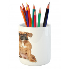 Cat Dog Animal Friends Pencil Pen Holder