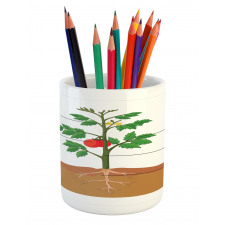 Parts of a Tomato Plant Pencil Pen Holder