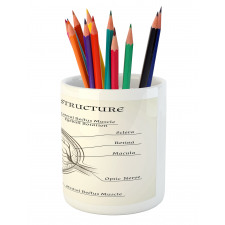 Structure of the Human Eye Pencil Pen Holder