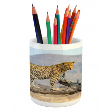 Blurred Background Fierce Pencil Pen Holder