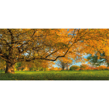 Tree Branches Blue Sky Pencil Pen Holder