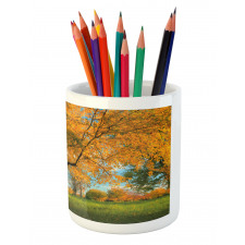 Tree Branches Blue Sky Pencil Pen Holder