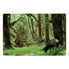 Roosevelt Elk in Park Pet Mat