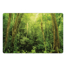 Rainforest Landscape Pet Mat