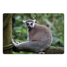 Photo of Madagascar Mammal Pet Mat