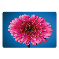 Gerbera Blossom Pet Mat