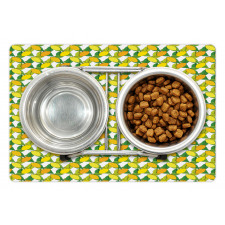 Vitamin C Citrus Drawing Pet Mat