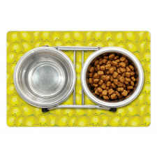 Ripe Citrus Vivid Drawing Pet Mat