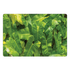 Photo of Tropic Botany Pet Mat