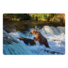 Alaska Waterfall Wildlfie Pet Mat