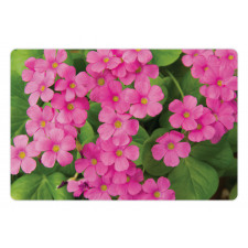 Pinkish Flower and Leaves Pet Mat