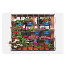 Flower Pots on Old Window Pet Mat