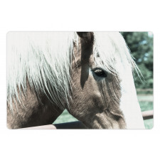 Draft Horse from Netherlands Pet Mat