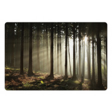 Morning Forest Scenery Pet Mat