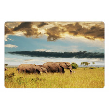 Elephant Family Photo Pet Mat