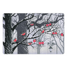 City Park Snow Cold Pet Mat