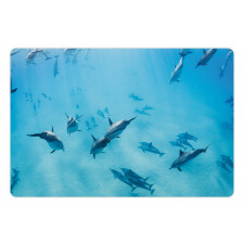 Dolphins Hawaii Ocean Pet Mat