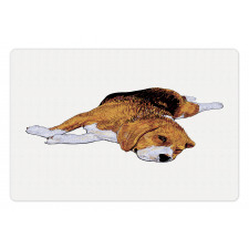 Before Falling Asleep Dog Pet Mat