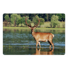 Mountain Animal in Water Pet Mat