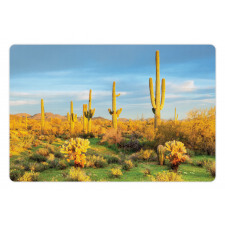 Sonoran Desert Blooms Pet Mat