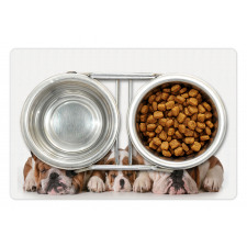 Image of 3 Generations Dogs Pet Mat