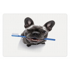 Funny Dog with Toothbrush Pet Mat