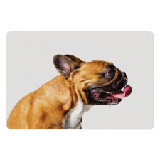 Young Pet Posing Side Shot Pet Mat