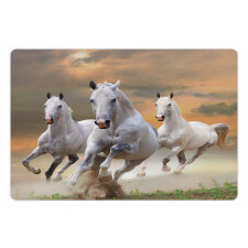 Mystical Sky  Pet Mat