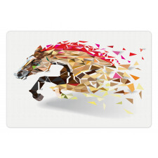 Abstract Art Wild Horse Pet Mat