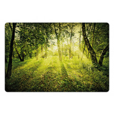 Scenic Morning in Nature Pet Mat