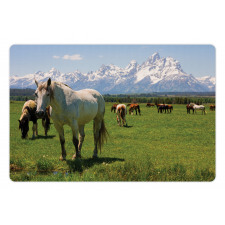 Horses Pet Mat