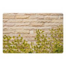 Brick Wall with Leaf Pet Mat