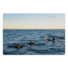 Whales in SeOcean Pet Mat